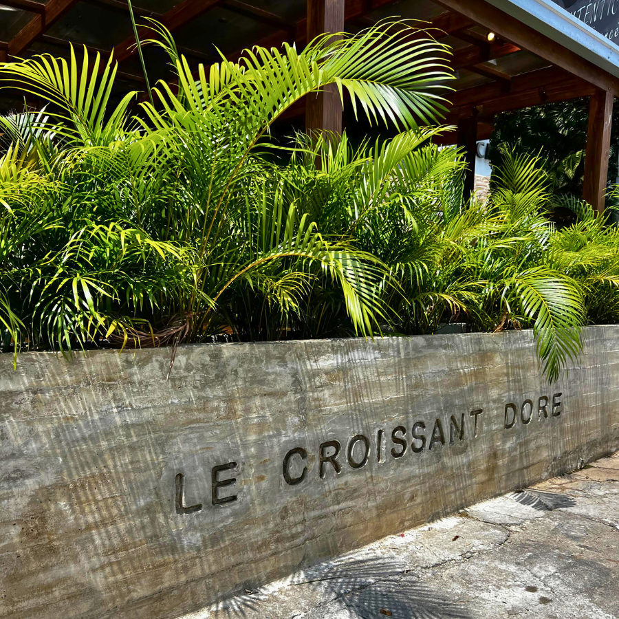 Decoracion Verde Variada Maceteros