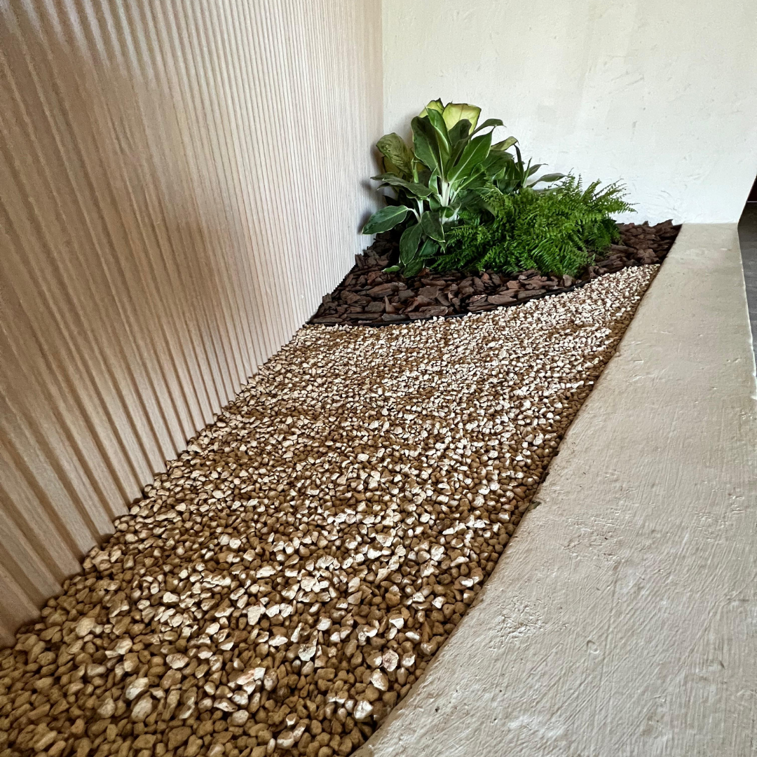 Decoracion Verde Variada Jardin Natural