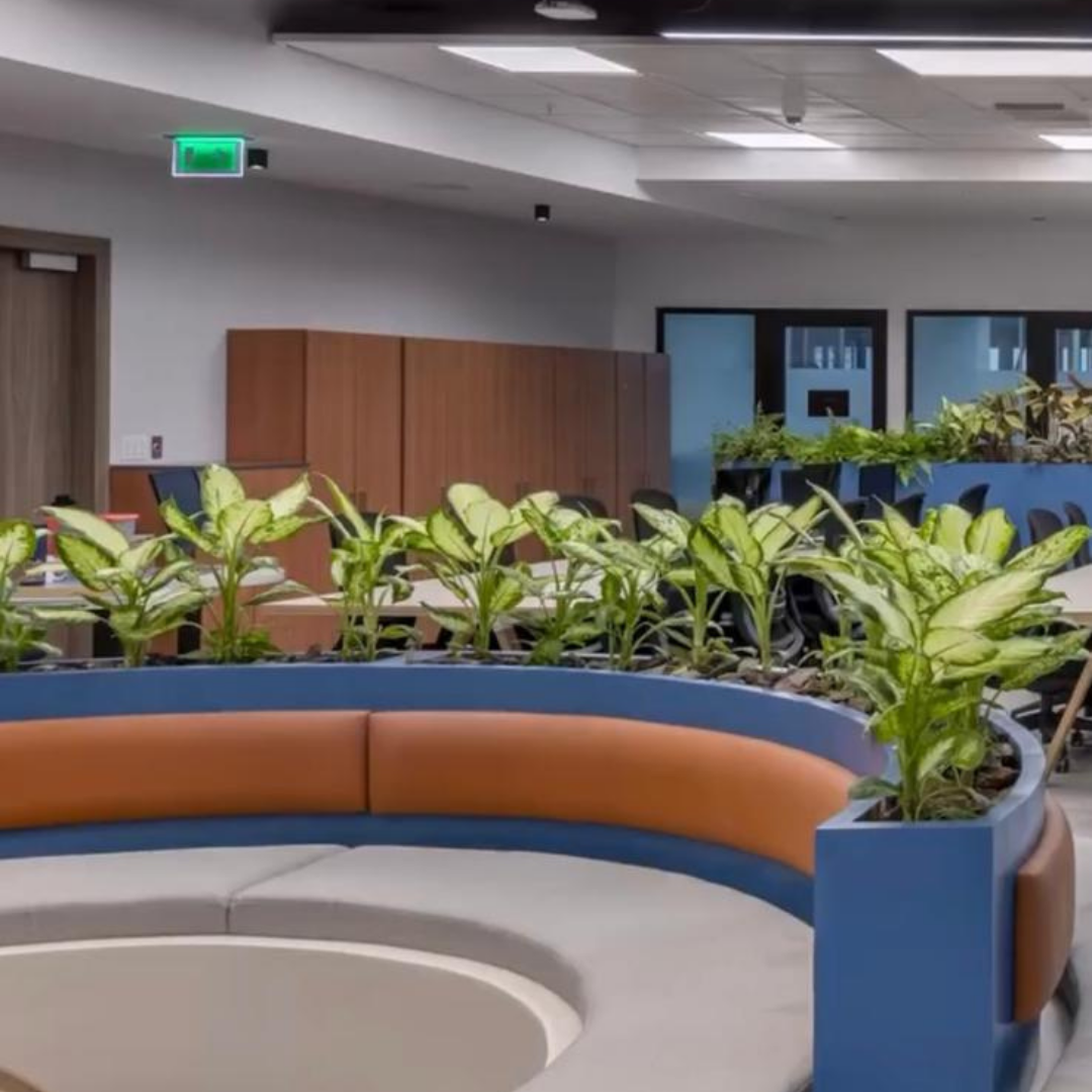 Decoracion Verde Variada en Mueble