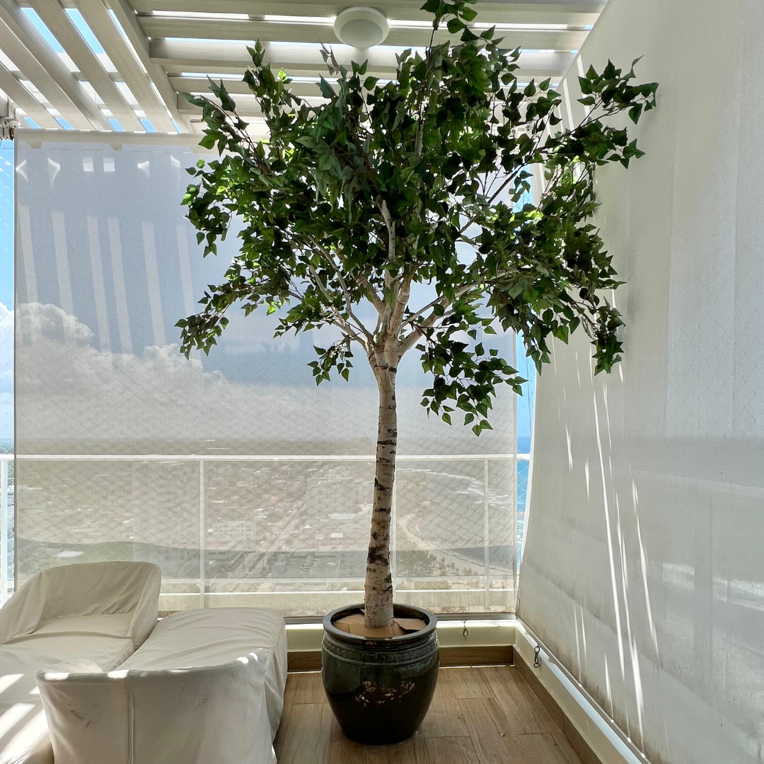 Decoracion Verde Variada Arbol Natural