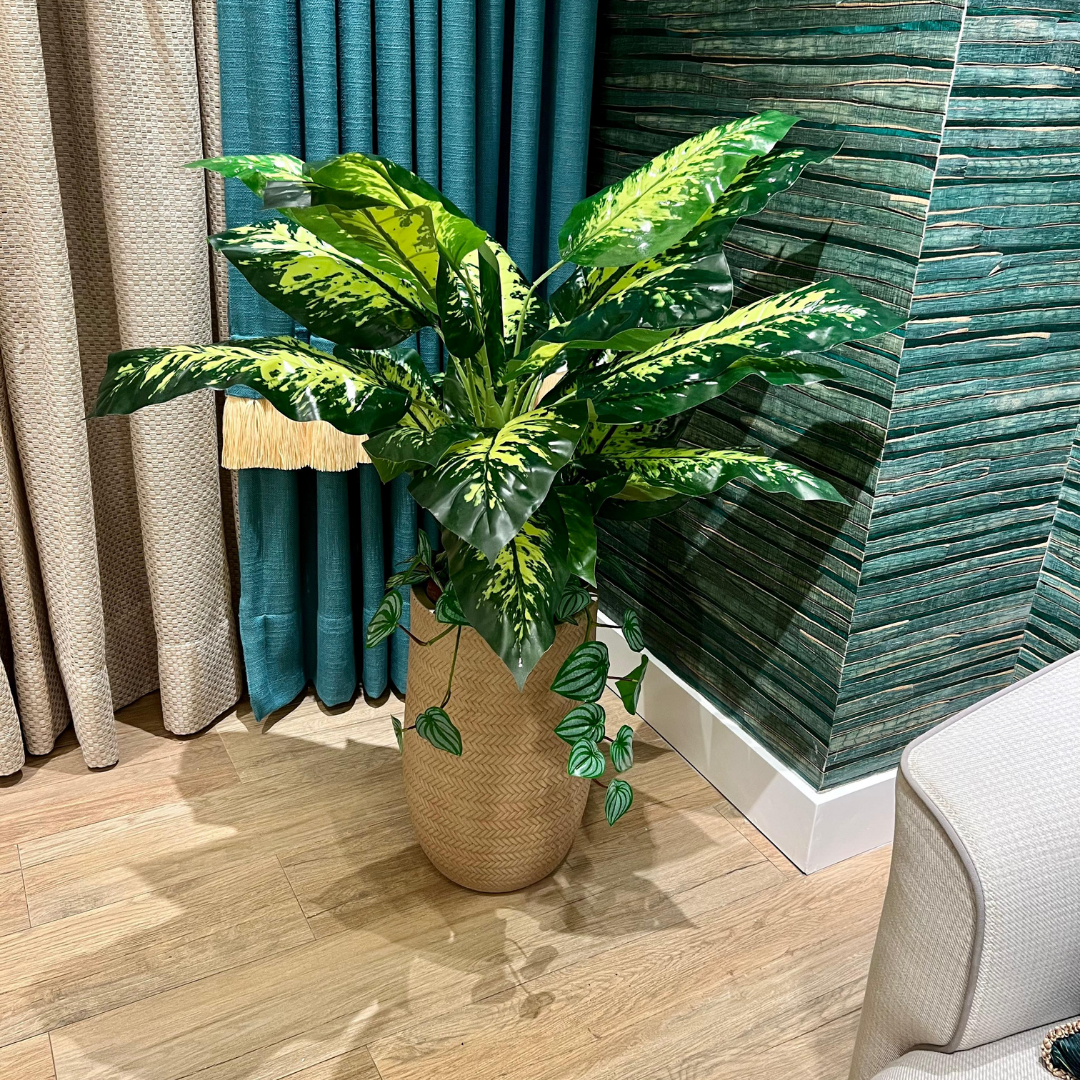 Decoracion Verde Variada Macetero