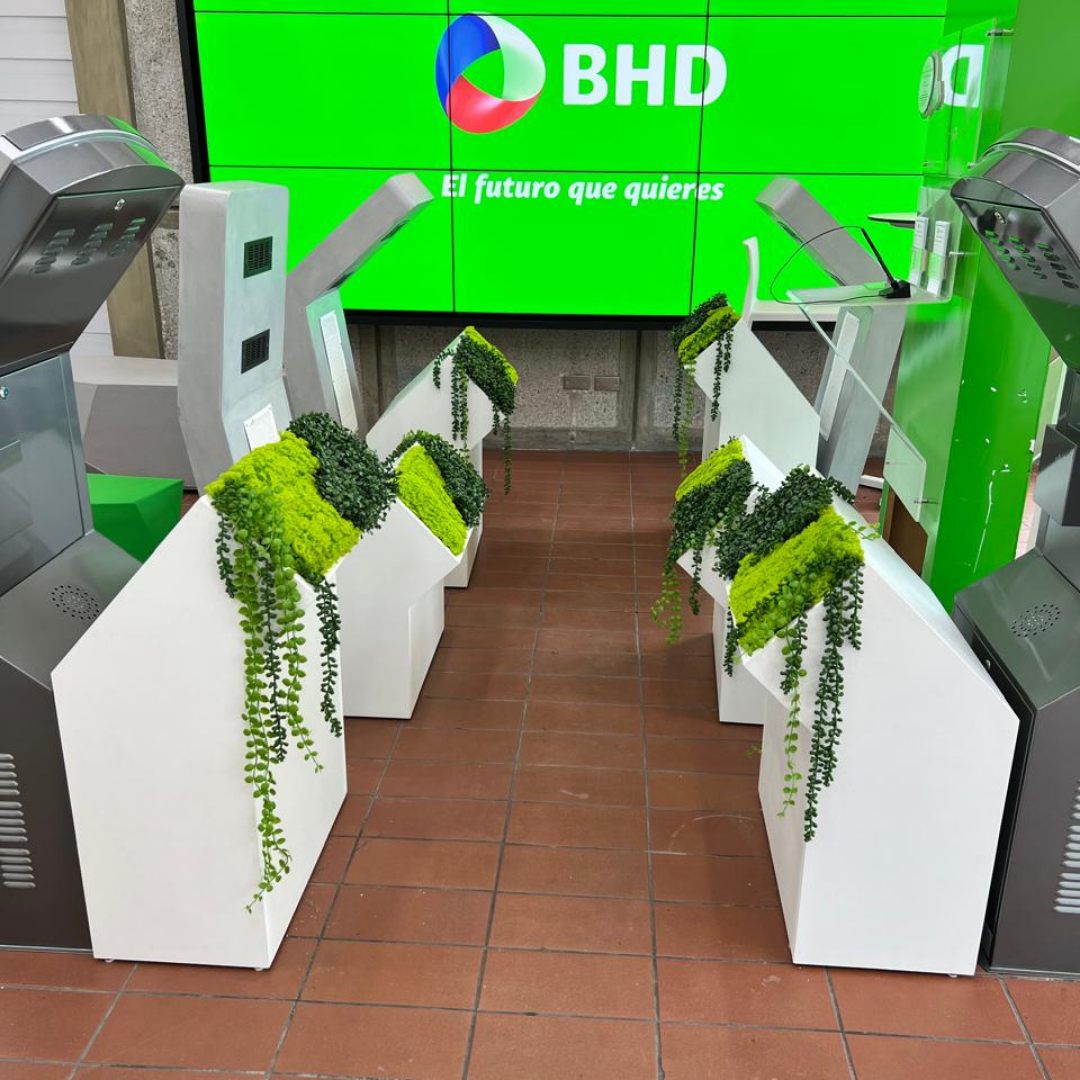 Decoracion Verde Variada en Mueble