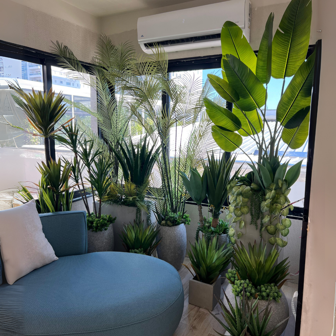 Decoracion Verde Variada Maceteros