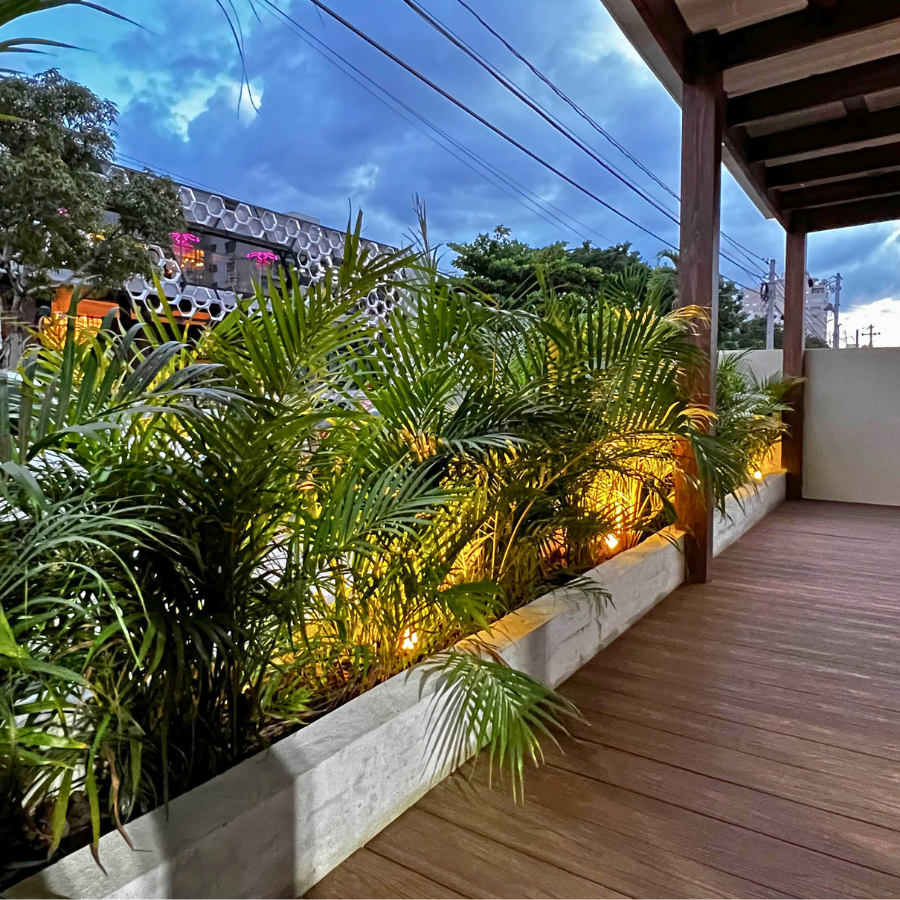 Decoracion Verde Variada Maceteros