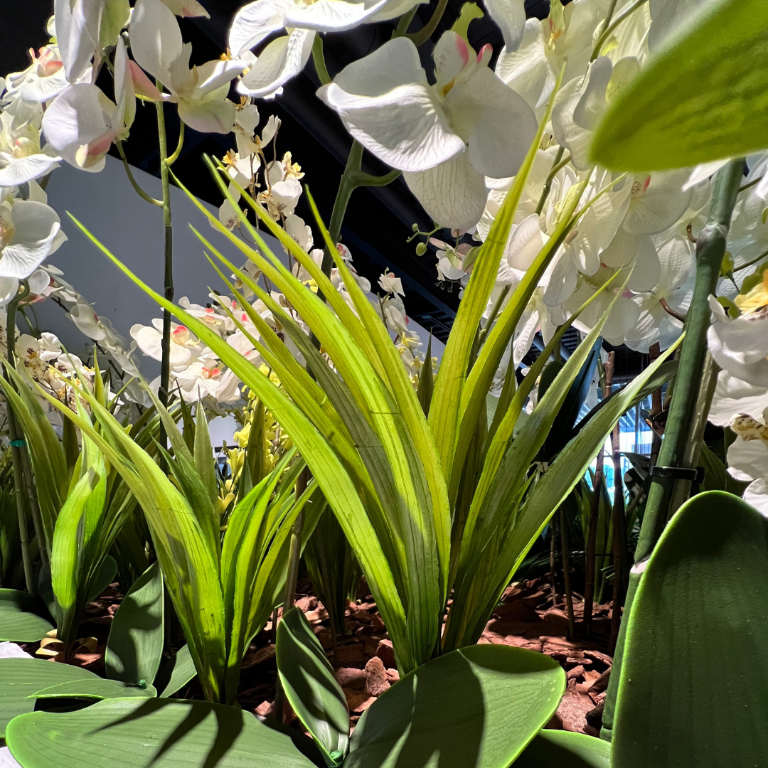 Decoracion Verde Variada