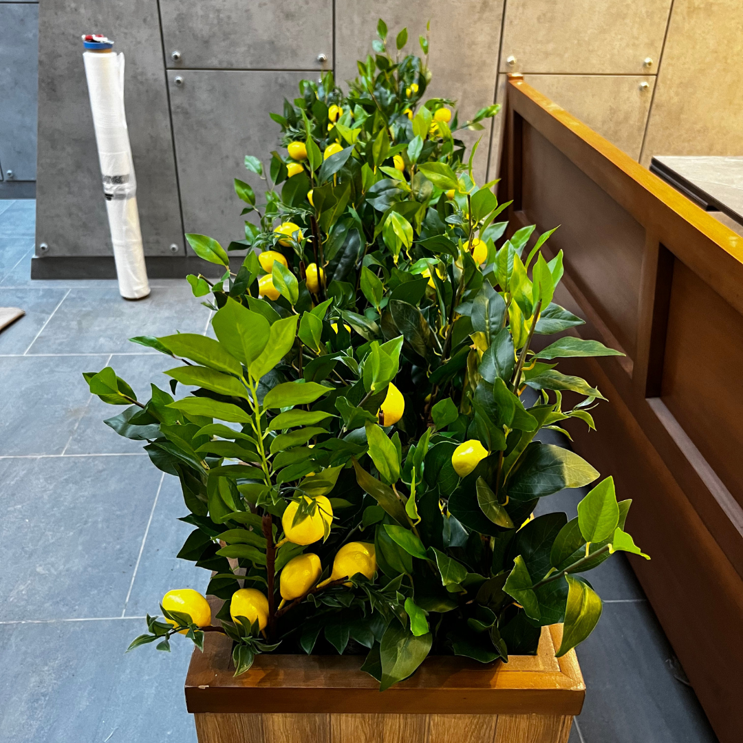 Decoracion Verde Variada en Mueble tipo Macetero