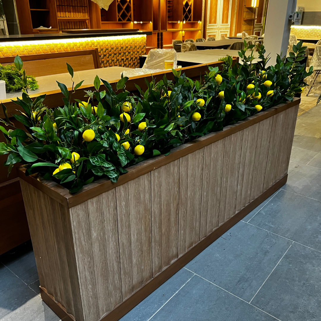 Decoracion Verde Variada en Mueble