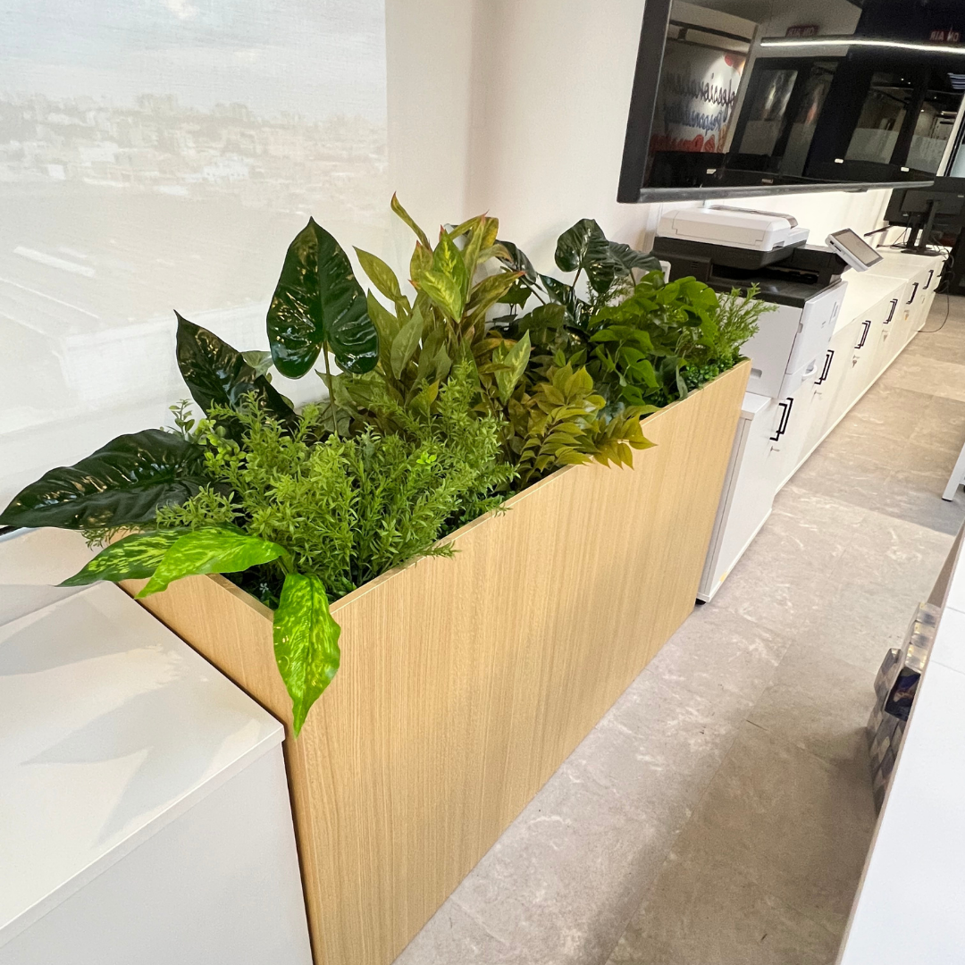 Decoracion Verde Variada en Muebles