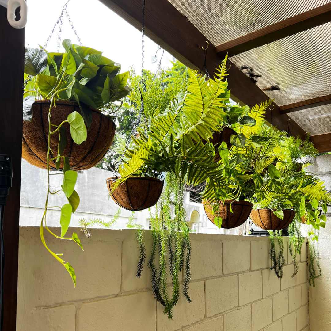 Decoracion Verde Variada en Macetero Colgantes